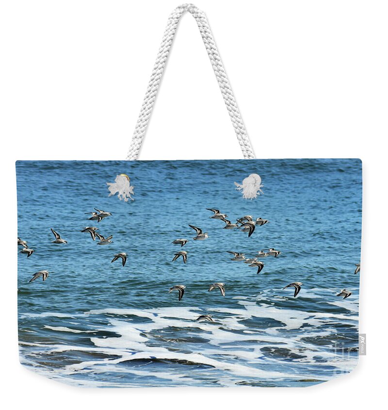 Scenic Weekender Tote Bag featuring the photograph In Flight by Skip Willits