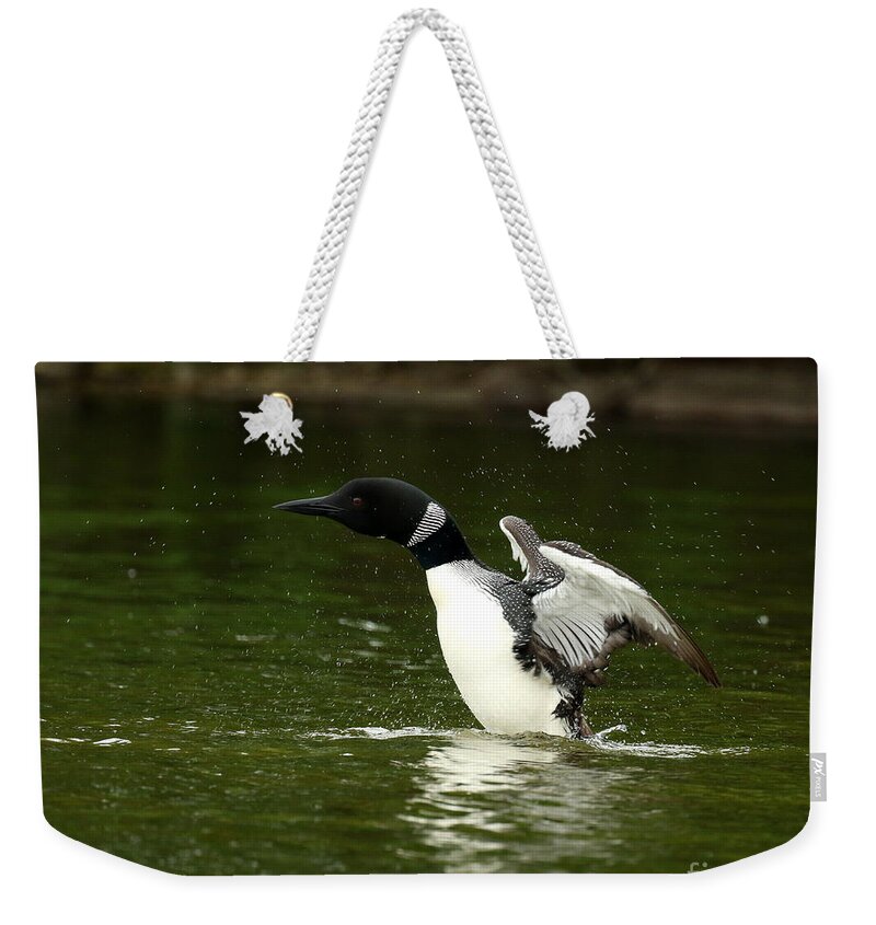 Loon Weekender Tote Bag featuring the photograph In her glory by Heather King