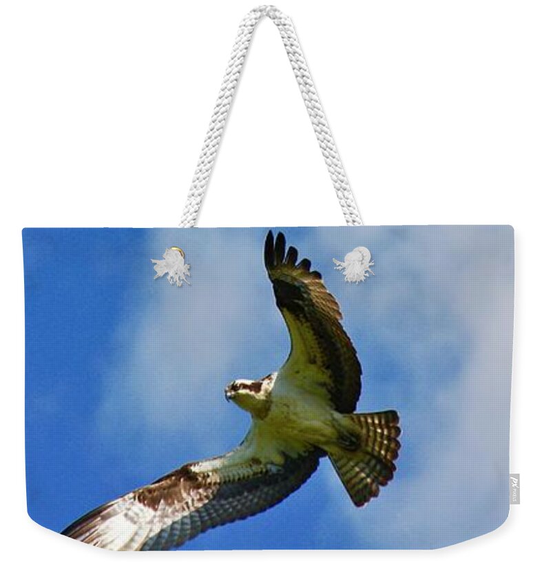 Bird Weekender Tote Bag featuring the photograph In his sites by Shawn M Greener