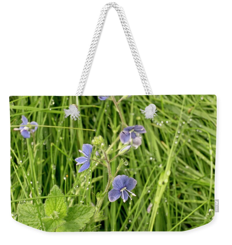 Meadows Weekender Tote Bag featuring the photograph In meadows. by Elena Perelman