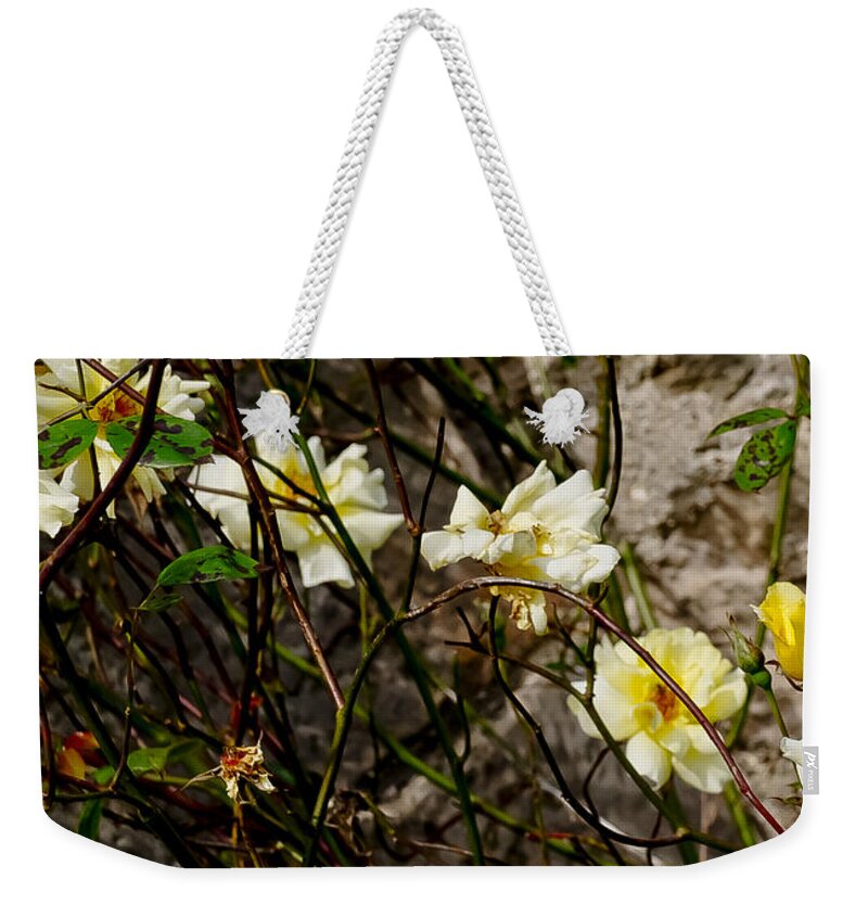 Roses Weekender Tote Bag featuring the photograph In opposite corners. by Elena Perelman