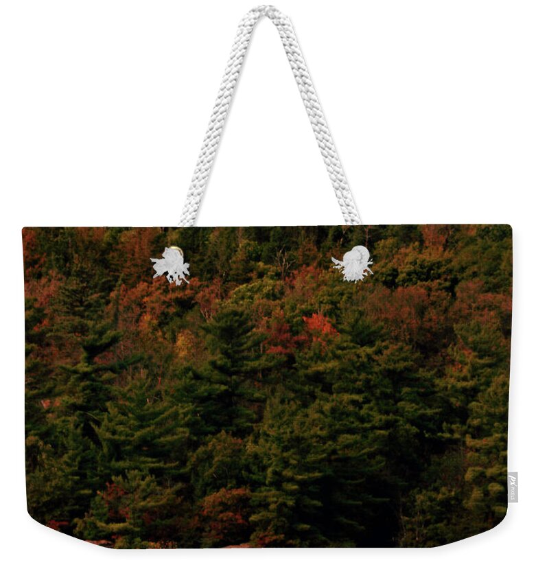 Minnesota Weekender Tote Bag featuring the photograph In the Autumn Forest by Hans Brakob