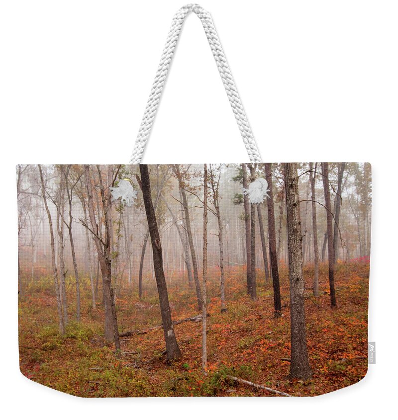 Missouri Weekender Tote Bag featuring the photograph In the Fog by Steve Stuller