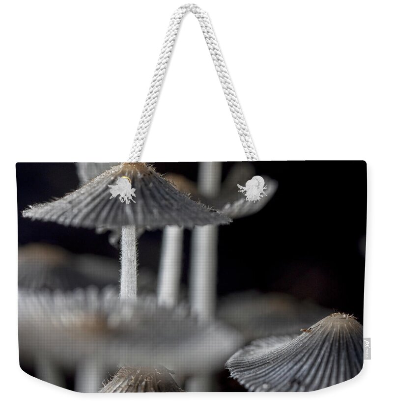 Mushroom Weekender Tote Bag featuring the photograph In the Forest by Robert Och