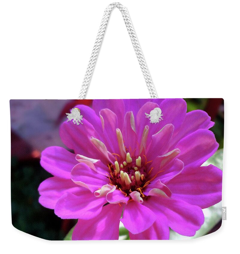 Square Weekender Tote Bag featuring the mixed media In the Pink by Zsanan Studio
