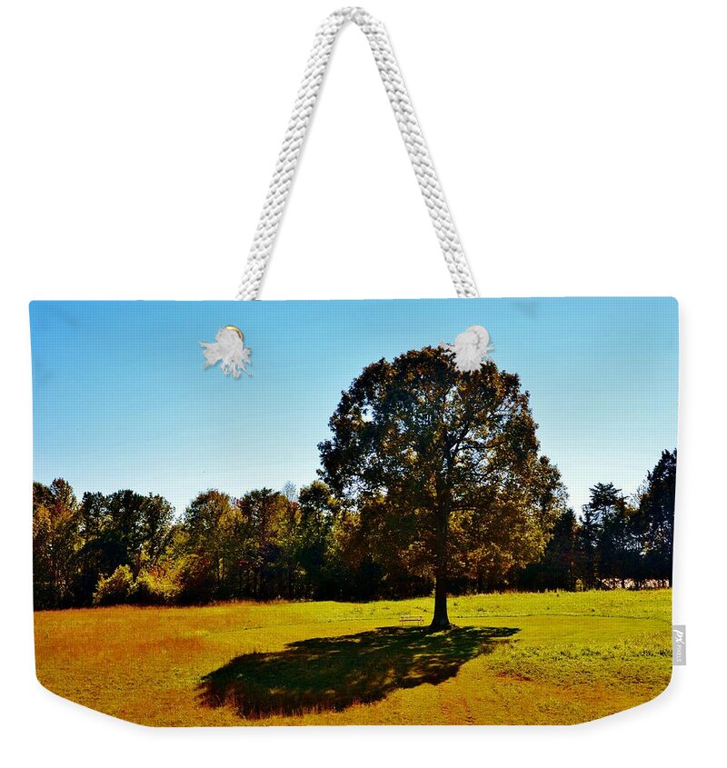 Trees Weekender Tote Bag featuring the photograph In the Shadow of a Tree by Eileen Brymer