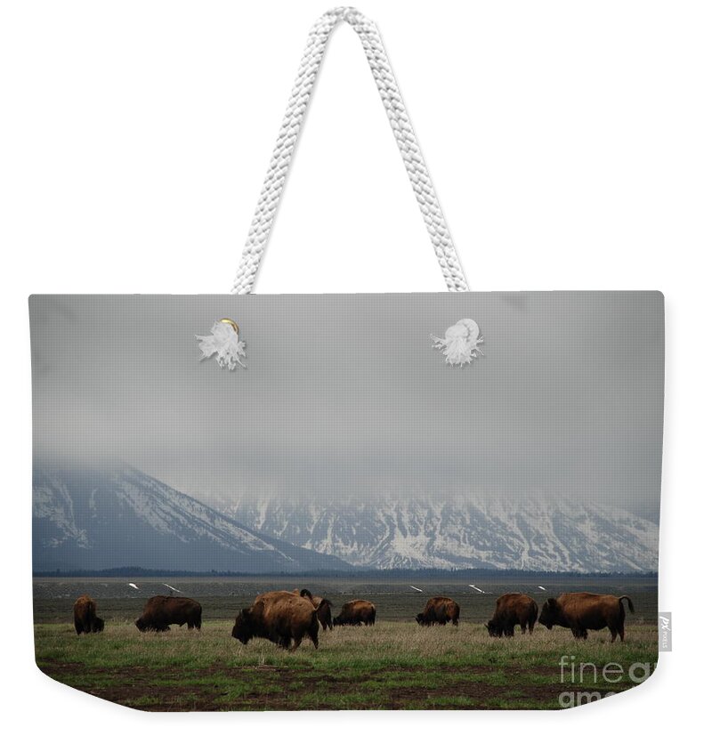 Bison Weekender Tote Bag featuring the photograph in the Tetons by Jim Goodman