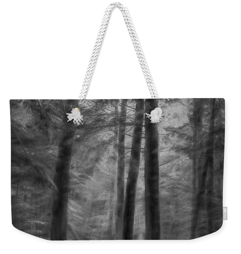 Trees Weekender Tote Bag featuring the photograph In the Woods by Phyllis Meinke