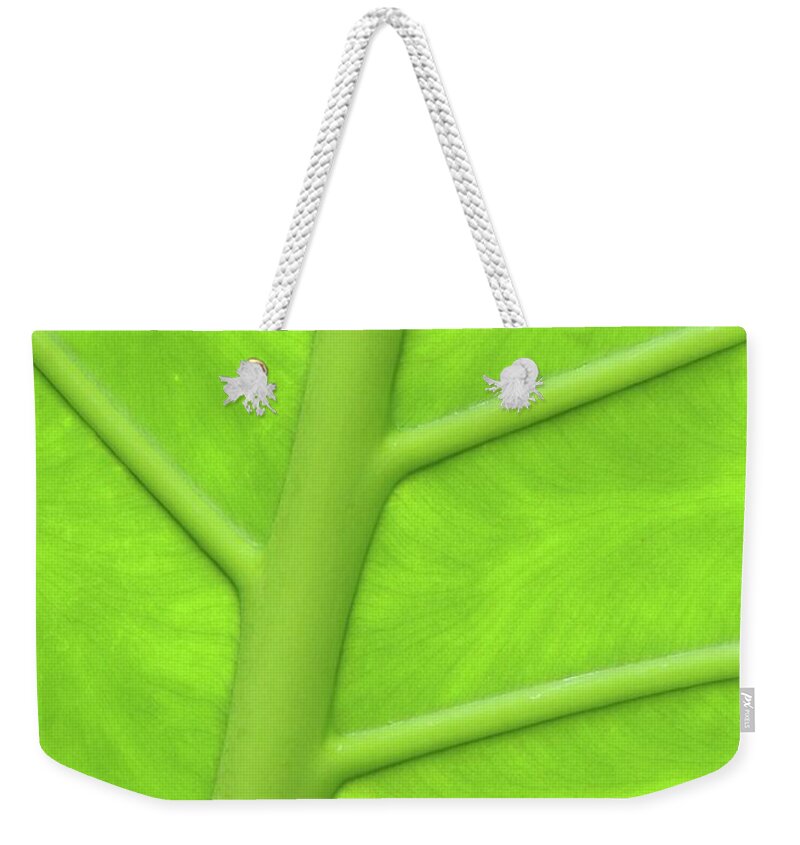 Green Weekender Tote Bag featuring the photograph In Vein by Marla Gilbertson