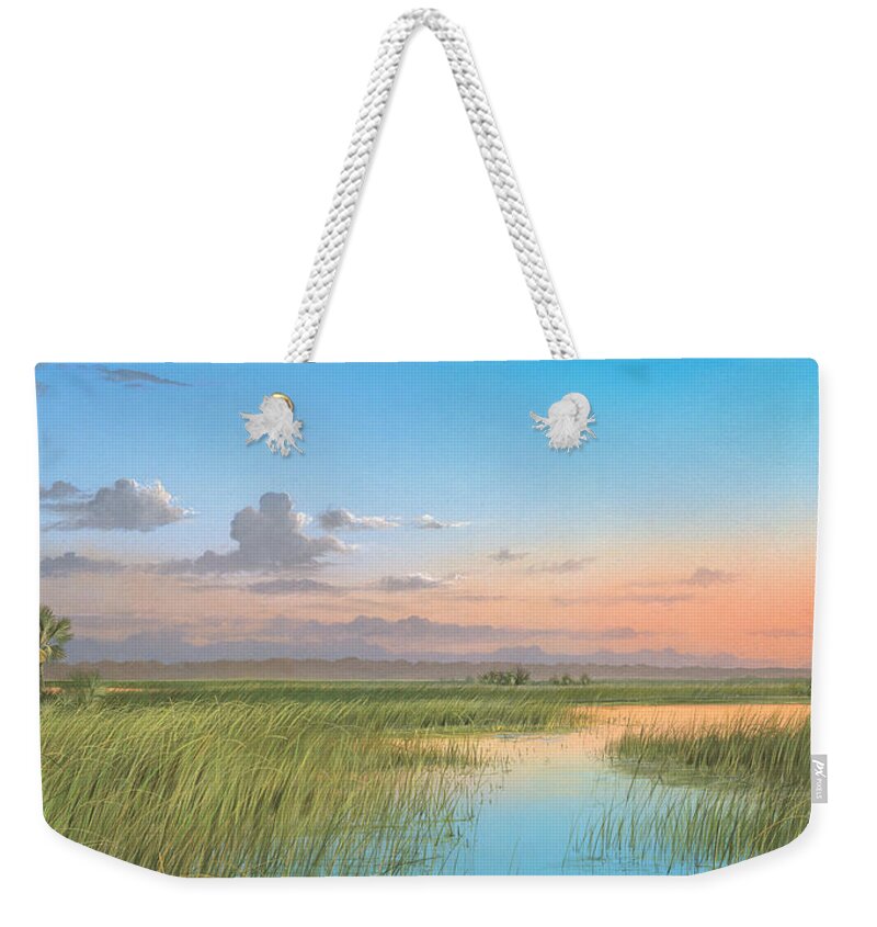 Florida Marsh Weekender Tote Bag featuring the painting Indian River by Mike Brown