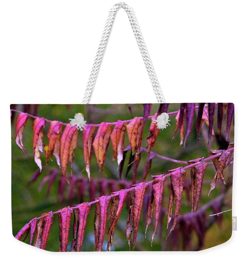 Indian Summer Weekender Tote Bag featuring the photograph Indian Summer by Silva Wischeropp