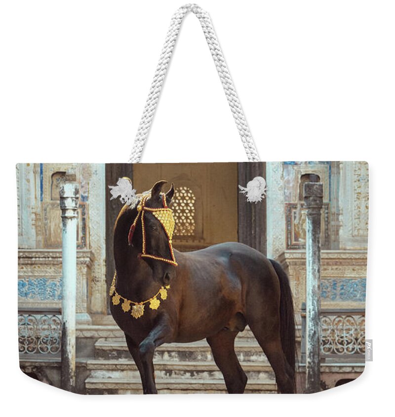 Russian Artists New Wave Weekender Tote Bag featuring the photograph Indian Treasure by Ekaterina Druz