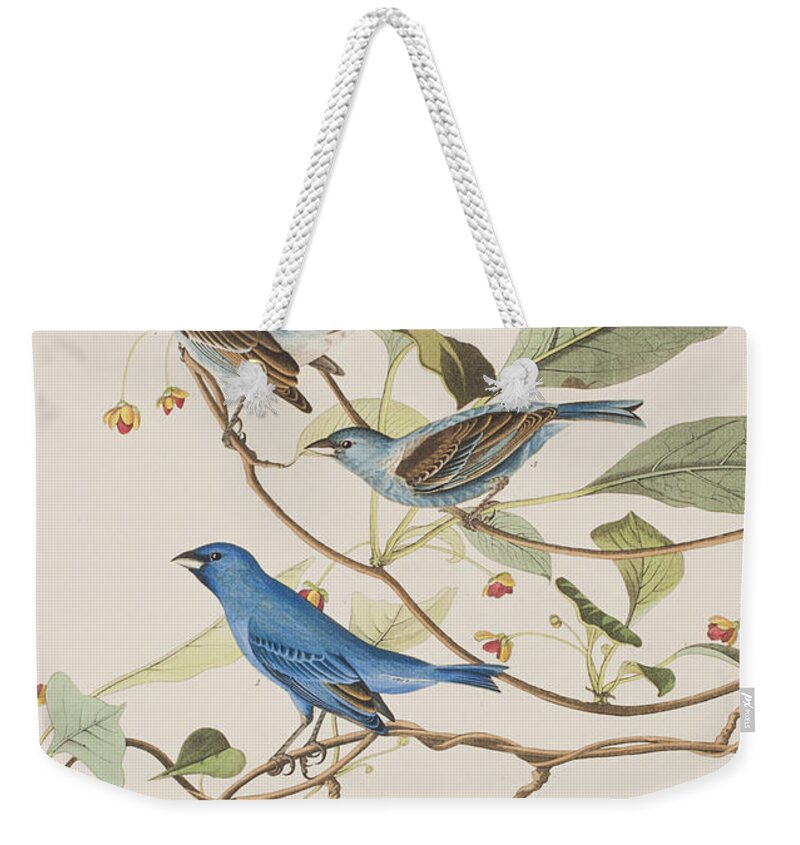 Indigo Bird Weekender Tote Bag featuring the painting Indigo Bird by John James Audubon