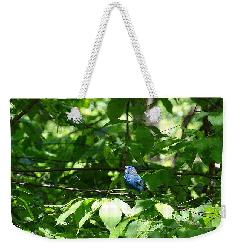 Birds Weekender Tote Bag featuring the photograph Indigo Bunting by Mary Halpin