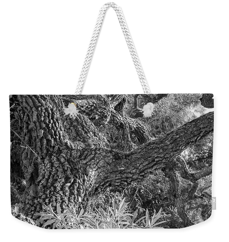 B/w Weekender Tote Bag featuring the photograph Convolutions by Dean Birinyi