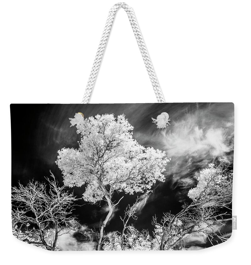 Infrared Tree Weekender Tote Bag featuring the photograph Infrared Tree Tops by Roseanne Jones