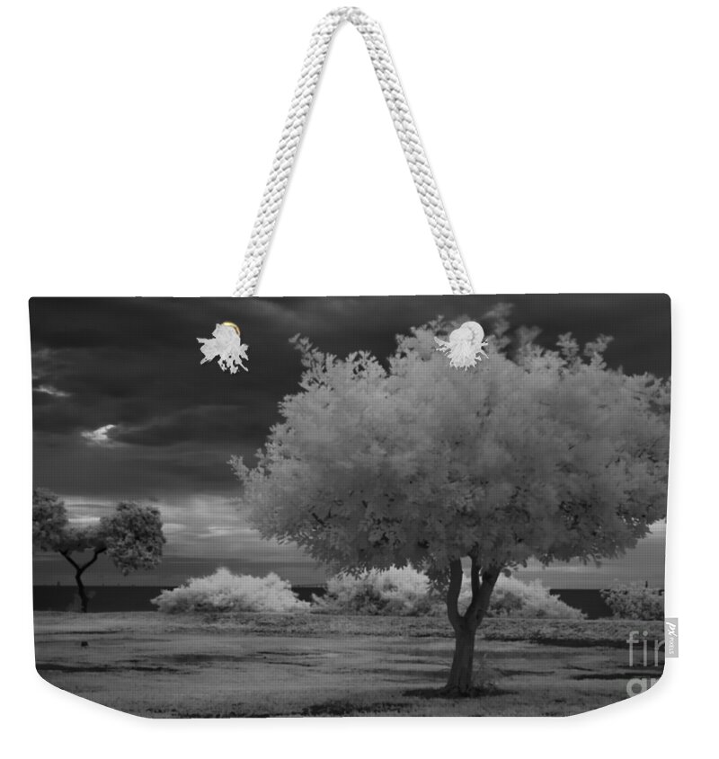 Infrared Weekender Tote Bag featuring the photograph Infrared Trees in Front of Skyway Bridge by Rolf Bertram