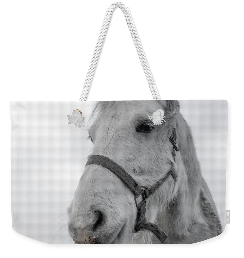Horse Weekender Tote Bag featuring the photograph Inis Mor Old Timer by Betsy Knapp
