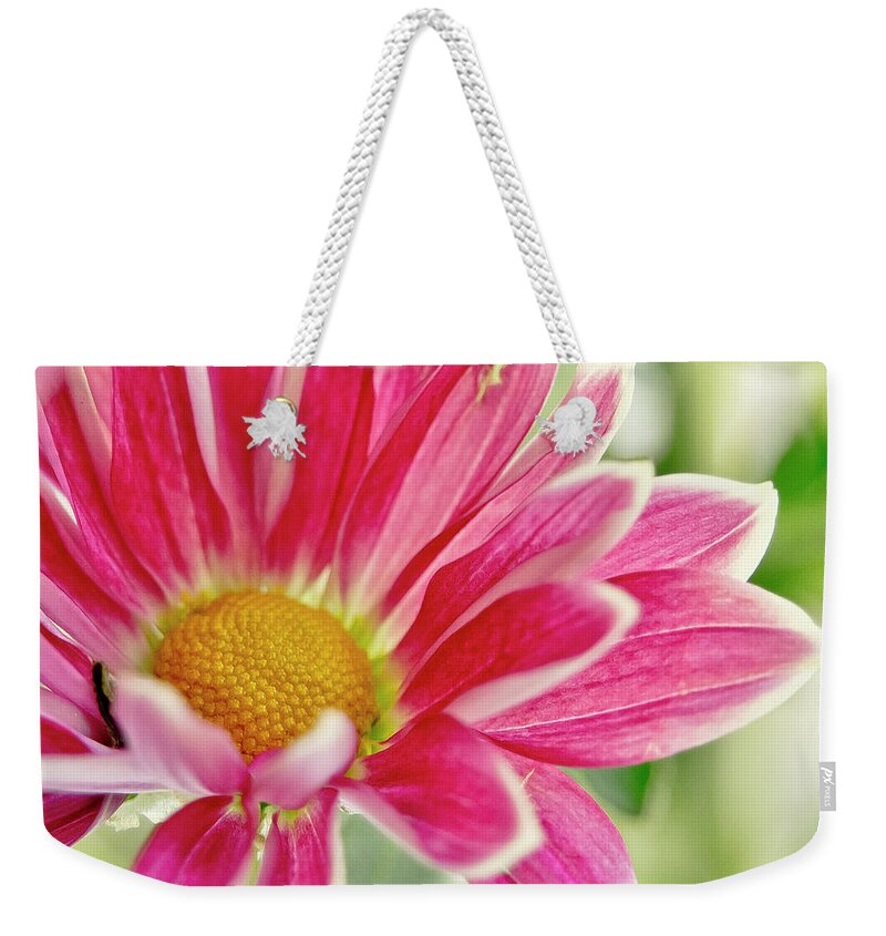 Floral Flowers Weekender Tote Bag featuring the photograph Inmost feelings. by Elena Perelman