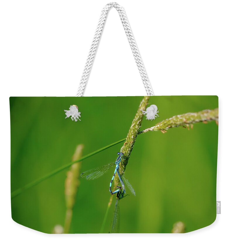 Insect Weekender Tote Bag featuring the photograph Insect on straw, May 2016. by Leif Sohlman
