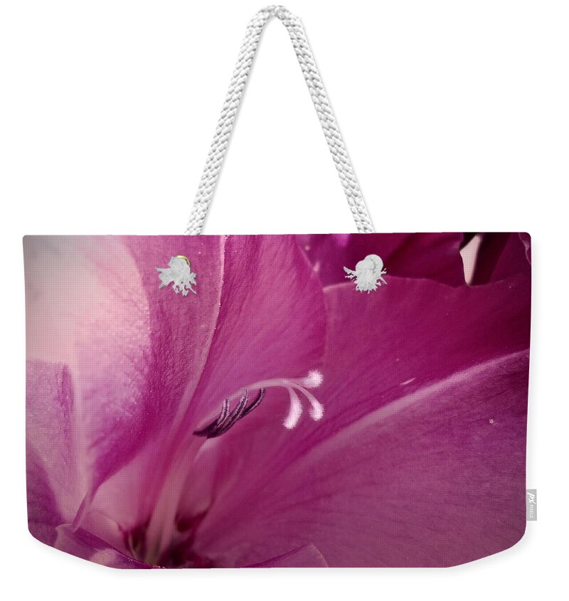 Inside Weekender Tote Bag featuring the photograph Inside Edition by Judy Hall-Folde