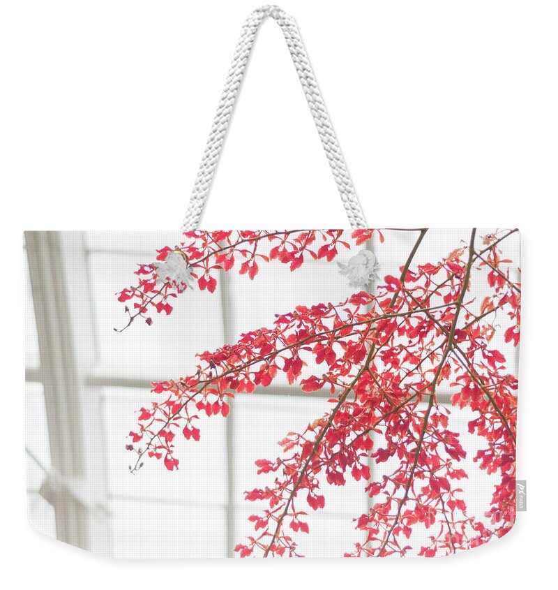 Bright Weekender Tote Bag featuring the photograph Inside the Greenhouse by Ana V Ramirez
