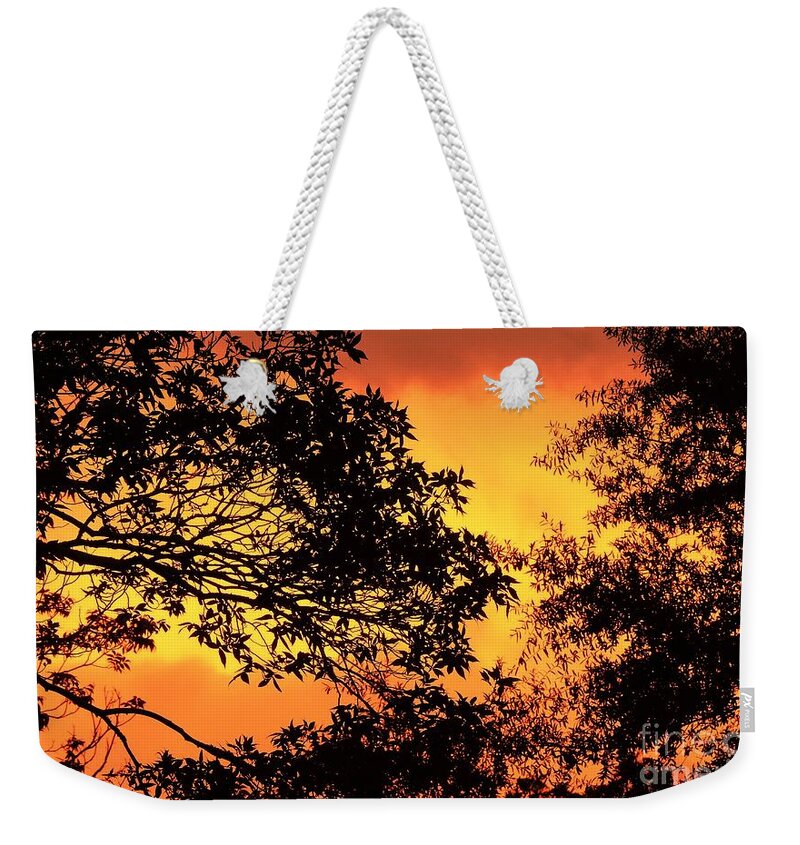 Abstract Weekender Tote Bag featuring the photograph Intensity by Jan Gelders