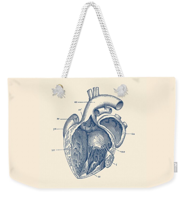 Vintage Weekender Tote Bag featuring the drawing Internal Human Heart Diagram - Anatomy Poster by War Is Hell Store