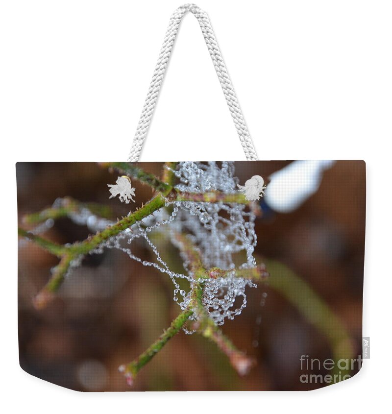 Adrian-deleon Weekender Tote Bag featuring the photograph Intertwined in beauty and life. -Georgia by Adrian De Leon Art and Photography