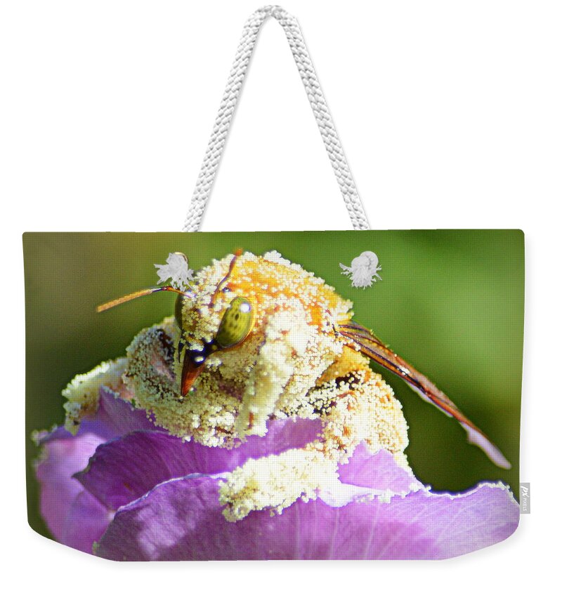 Insects Weekender Tote Bag featuring the photograph Into Something Good by AJ Schibig