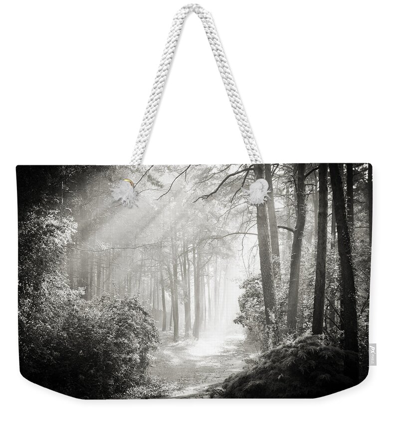 Forest Weekender Tote Bag featuring the photograph Into the Forest - Nr. 2 by Dorit Fuhg