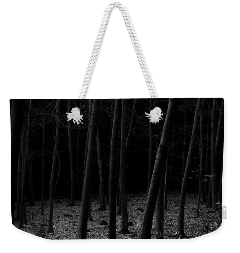 Fine Art Weekender Tote Bag featuring the photograph Silent Woods by Dorit Fuhg