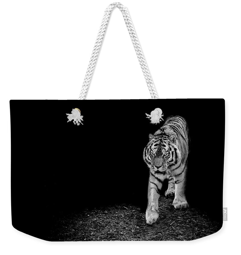 Amur Weekender Tote Bag featuring the photograph Into the light by Paul Neville