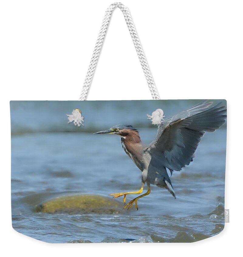 Green Heron Weekender Tote Bag featuring the photograph Into The Rapids by Fraida Gutovich