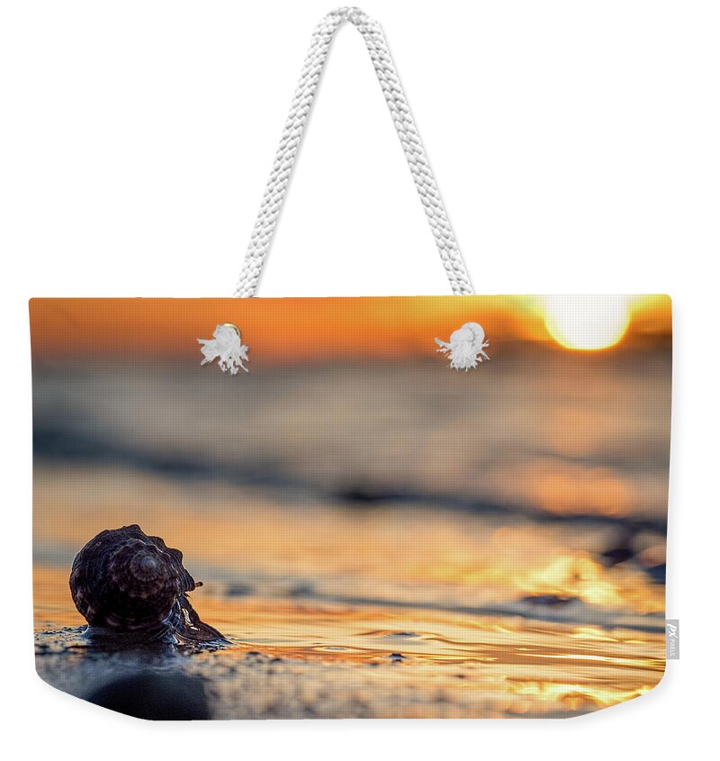 Crab Weekender Tote Bag featuring the photograph Into the Surf by Brad Boland