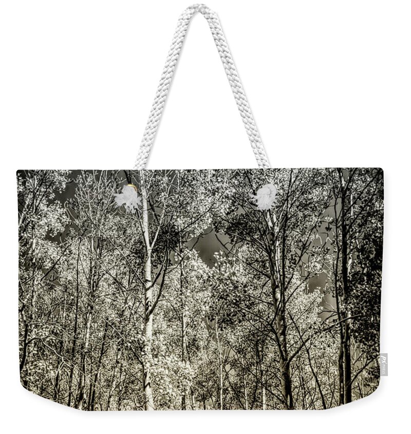 Desert Forest Garden Weekender Tote Bag featuring the digital art Into The Woods by Becky Titus