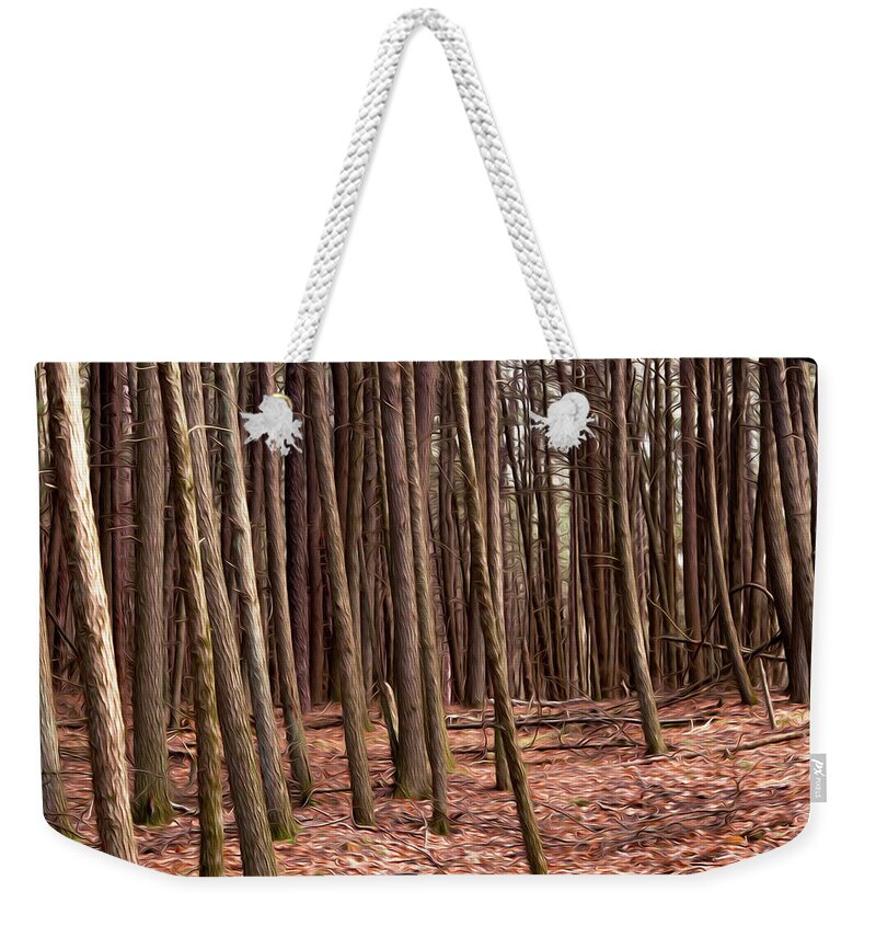 Digital Weekender Tote Bag featuring the digital art Into the Woods by Dawn J Benko