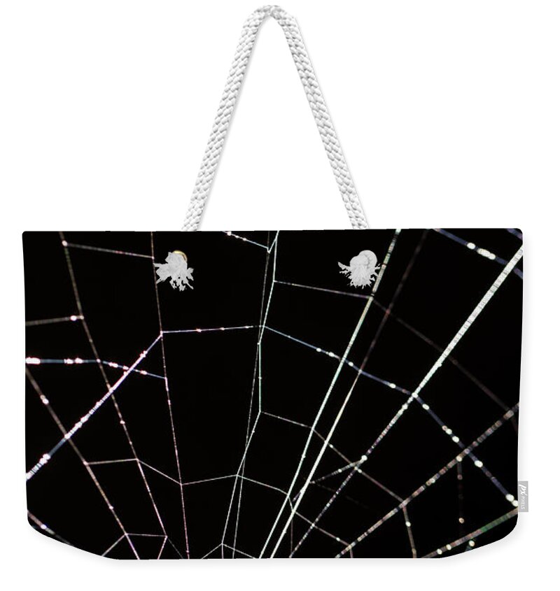 Natural Weekender Tote Bag featuring the photograph Intricate spider web by Alon Meir