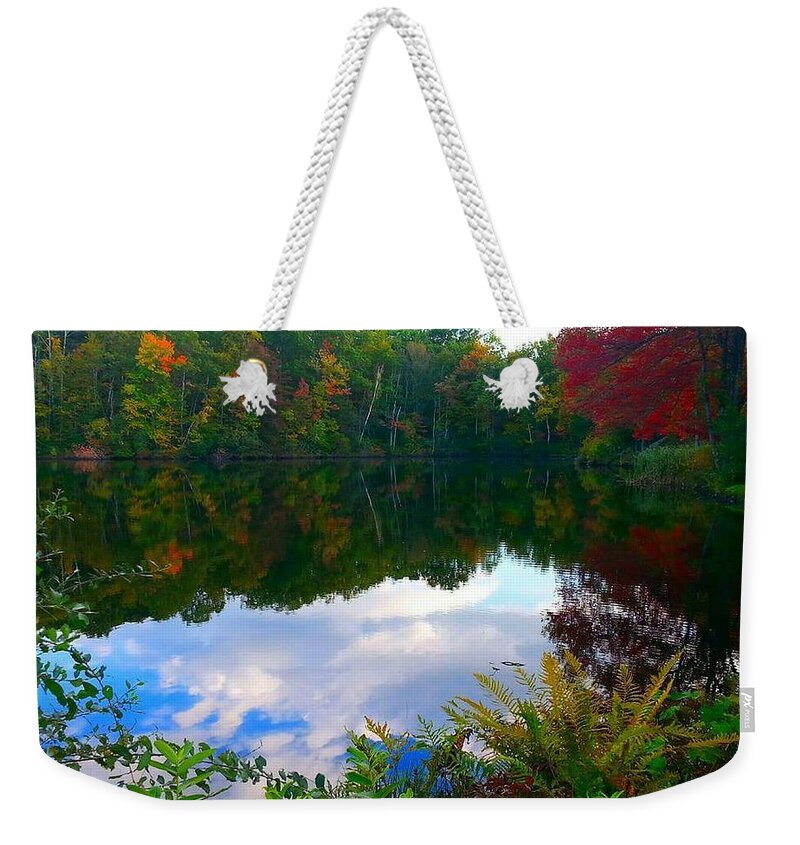 Autumn Weekender Tote Bag featuring the photograph Introvert by Dani McEvoy
