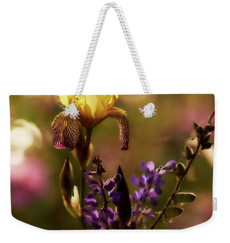 Iris Weekender Tote Bag featuring the photograph Iris 6 by Loni Collins