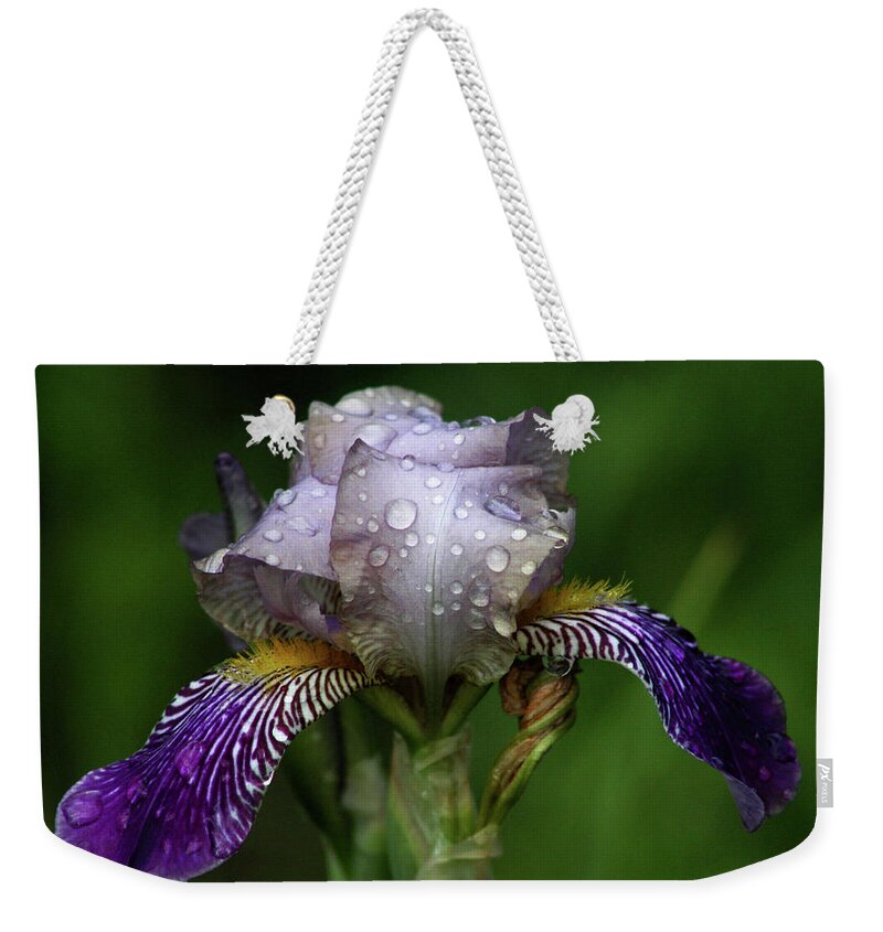 Iris Weekender Tote Bag featuring the photograph Iris After The Rain 1409 H_2 by Steven Ward