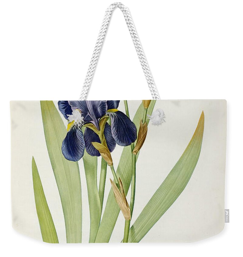 Iris Weekender Tote Bag featuring the painting Iris Germanica by Pierre Joseph Redoute