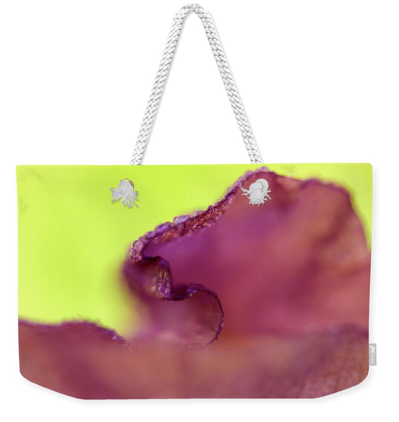 Contempoary Photograph Of An Iris Flower Weekender Tote Bag featuring the photograph Iris in Lavender and Green by Iris Richardson