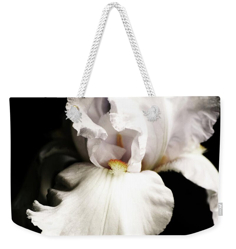 Cold Weekender Tote Bag featuring the photograph Iris In Pose by Deborah Crew-Johnson