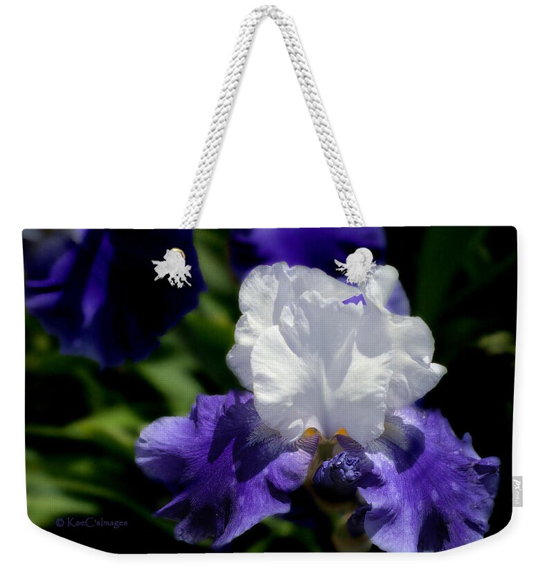 Iris Weekender Tote Bag featuring the photograph Iris in White and Purple by Kae Cheatham