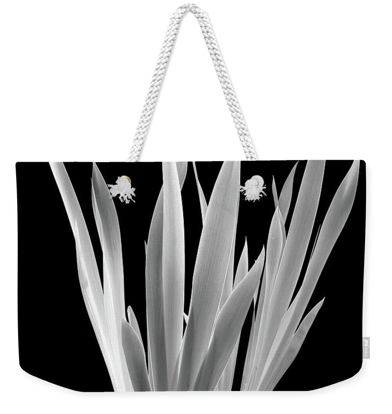 Black & White Weekender Tote Bag featuring the photograph Iris Leaves by Frederic A Reinecke