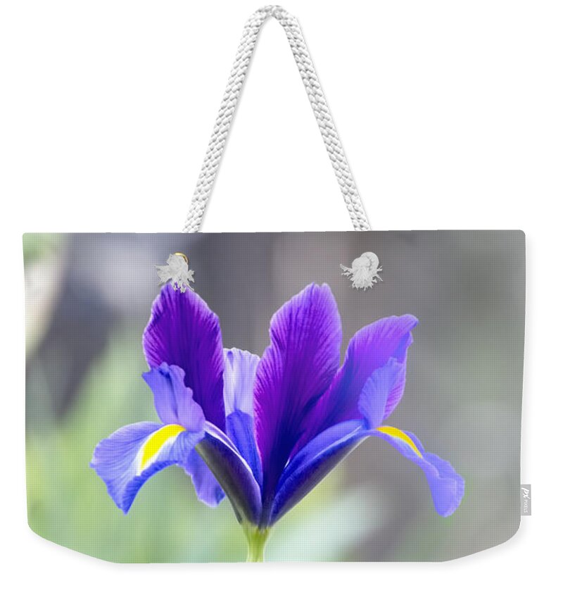 Iris Weekender Tote Bag featuring the digital art Iris Rising by Terry Davis