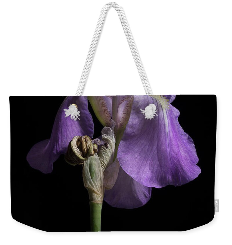 Purple Iris Weekender Tote Bag featuring the photograph Iris Series 1 by Mike Eingle