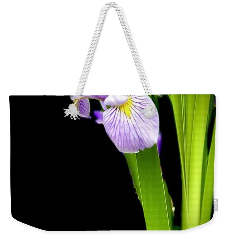 Lavender Siberian Iris Weekender Tote Bag featuring the photograph Iris via iPhone by Onyonet Photo studios