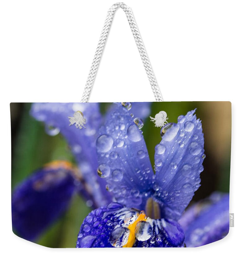 Iris Weekender Tote Bag featuring the photograph Iris With Raindrops 2 by Steve Purnell